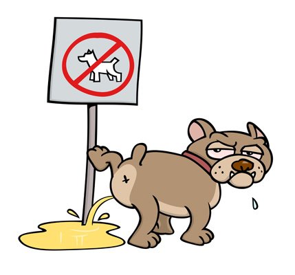 učit psím příkazům