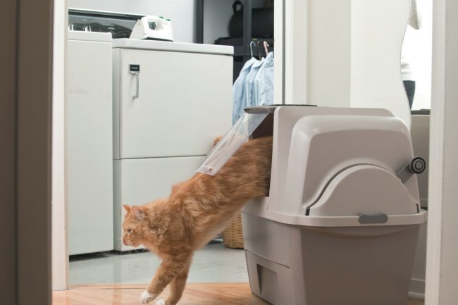 Automatické WC pro kočky