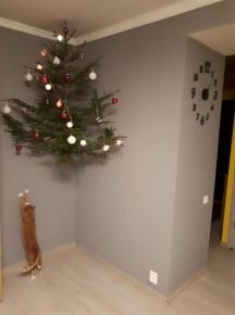 Vánoční strom pod stropem